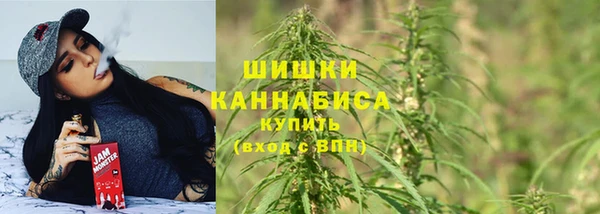 сатива Алзамай