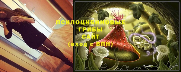 сатива Алзамай